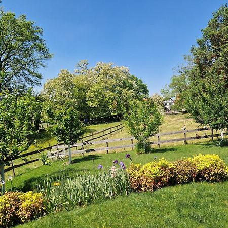 Gite Terre D'Helene 4 A 5 Pers Proche Strasbourg 42 M2, 3 Etoiles, Wifi, Paisible, Jardin, Proche Commerces,16 Atouts, Animaux Acceptes Berstett Eksteriør bilde