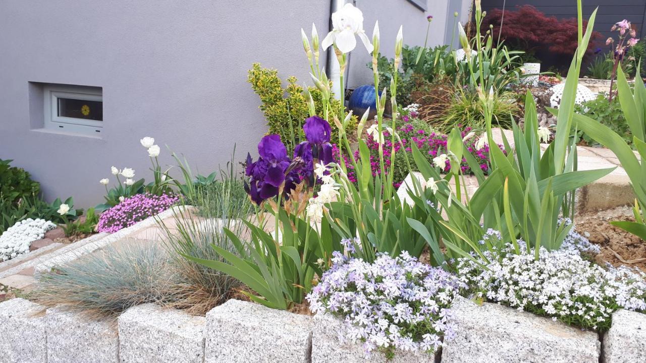 Gite Terre D'Helene 4 A 5 Pers Proche Strasbourg 42 M2, 3 Etoiles, Wifi, Paisible, Jardin, Proche Commerces,16 Atouts, Animaux Acceptes Berstett Eksteriør bilde