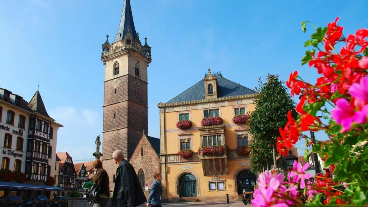 Gite Terre D'Helene 4 A 5 Pers Proche Strasbourg 42 M2, 3 Etoiles, Wifi, Paisible, Jardin, Proche Commerces,16 Atouts, Animaux Acceptes Berstett Eksteriør bilde