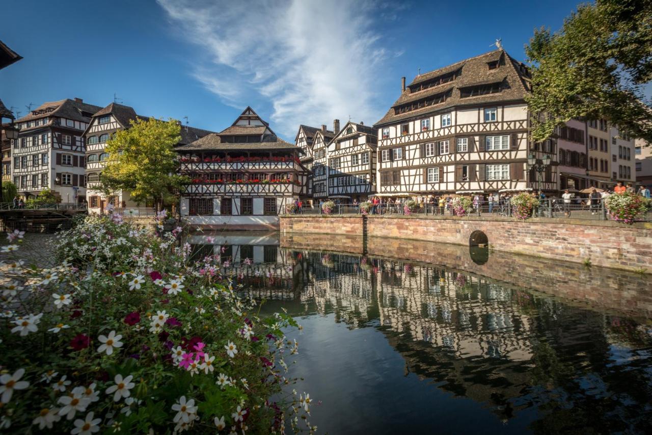 Gite Terre D'Helene 4 A 5 Pers Proche Strasbourg 42 M2, 3 Etoiles, Wifi, Paisible, Jardin, Proche Commerces,16 Atouts, Animaux Acceptes Berstett Eksteriør bilde