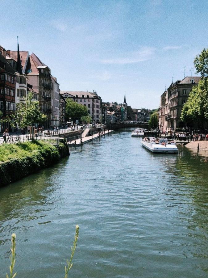Gite Terre D'Helene 4 A 5 Pers Proche Strasbourg 42 M2, 3 Etoiles, Wifi, Paisible, Jardin, Proche Commerces,16 Atouts, Animaux Acceptes Berstett Eksteriør bilde