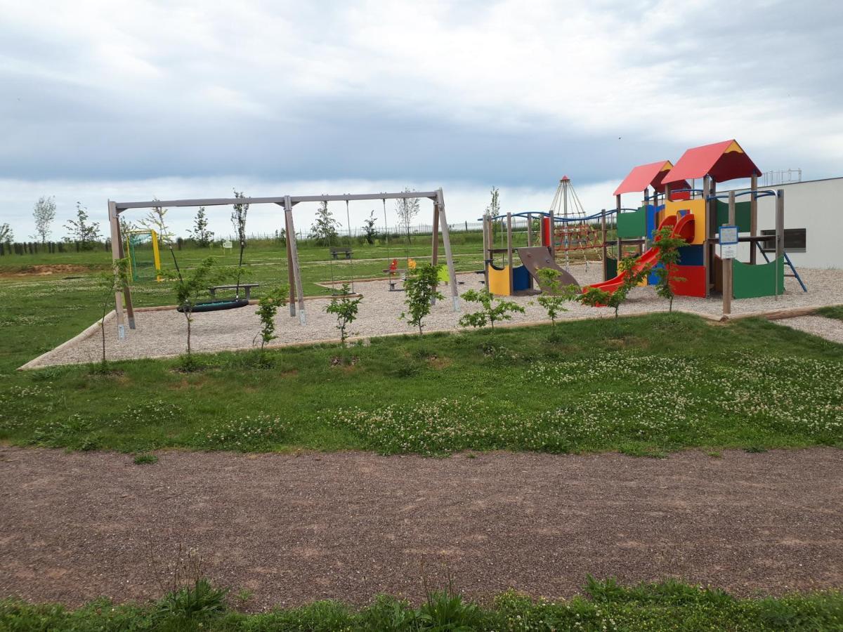 Gite Terre D'Helene 4 A 5 Pers Proche Strasbourg 42 M2, 3 Etoiles, Wifi, Paisible, Jardin, Proche Commerces,16 Atouts, Animaux Acceptes Berstett Eksteriør bilde