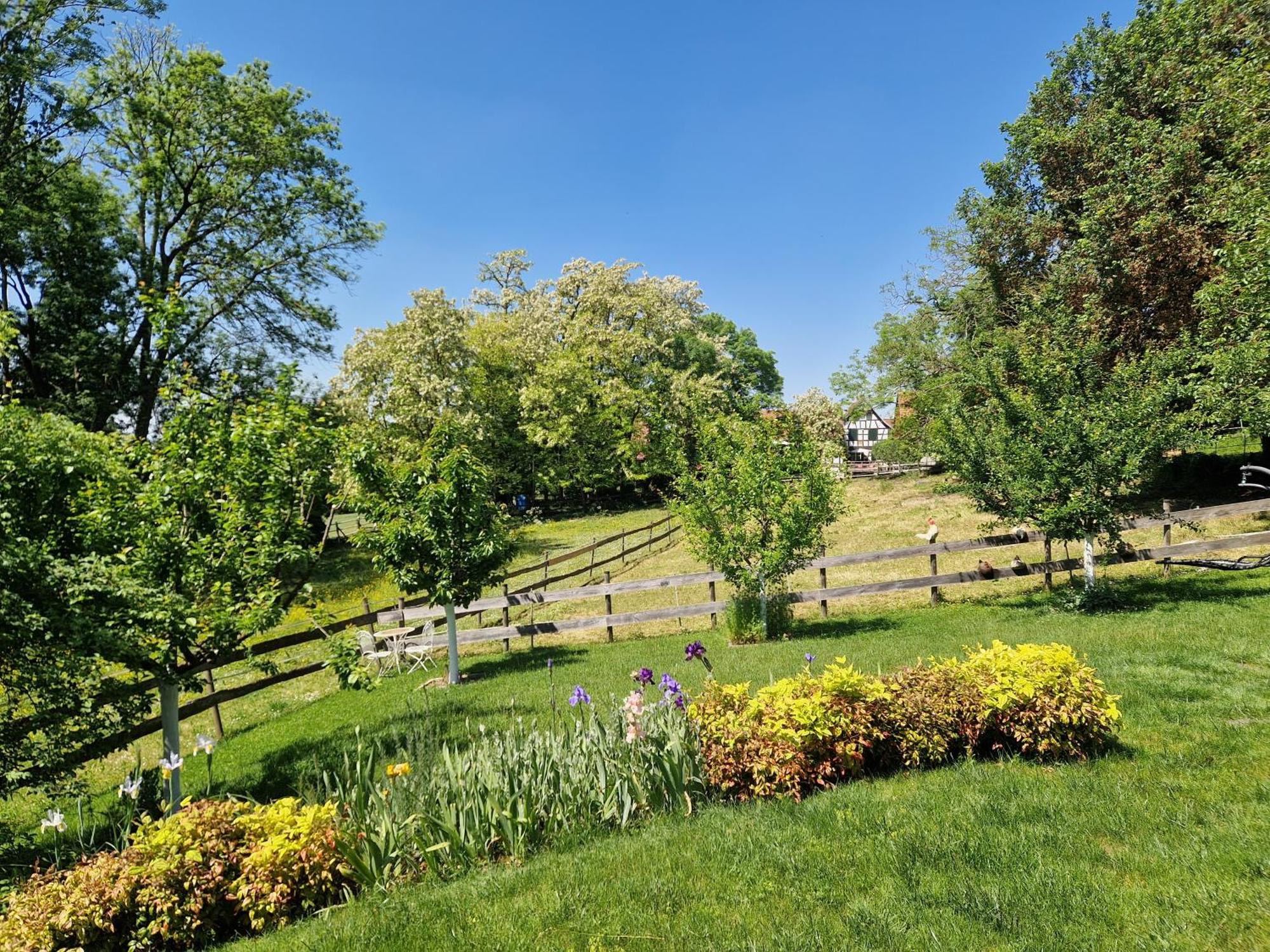 Gite Terre D'Helene 4 A 5 Pers Proche Strasbourg 42 M2, 3 Etoiles, Wifi, Paisible, Jardin, Proche Commerces,16 Atouts, Animaux Acceptes Berstett Eksteriør bilde
